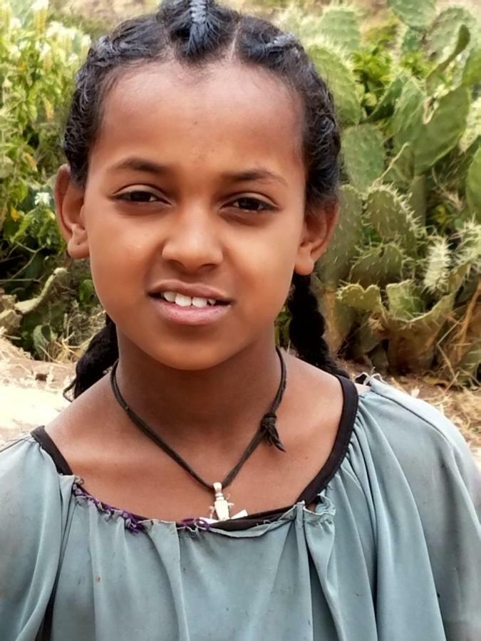 Zan-Seyoum Hotel Lalībela 외부 사진